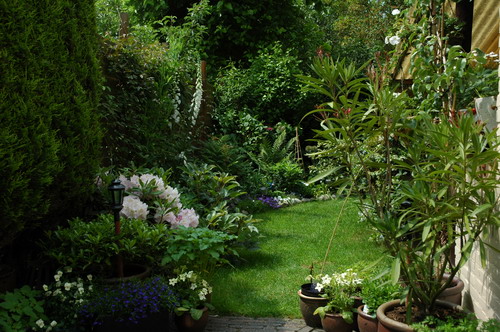Tuin